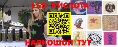 амф Новозыбков