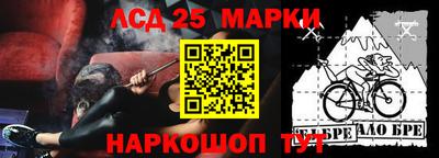 амф Новозыбков