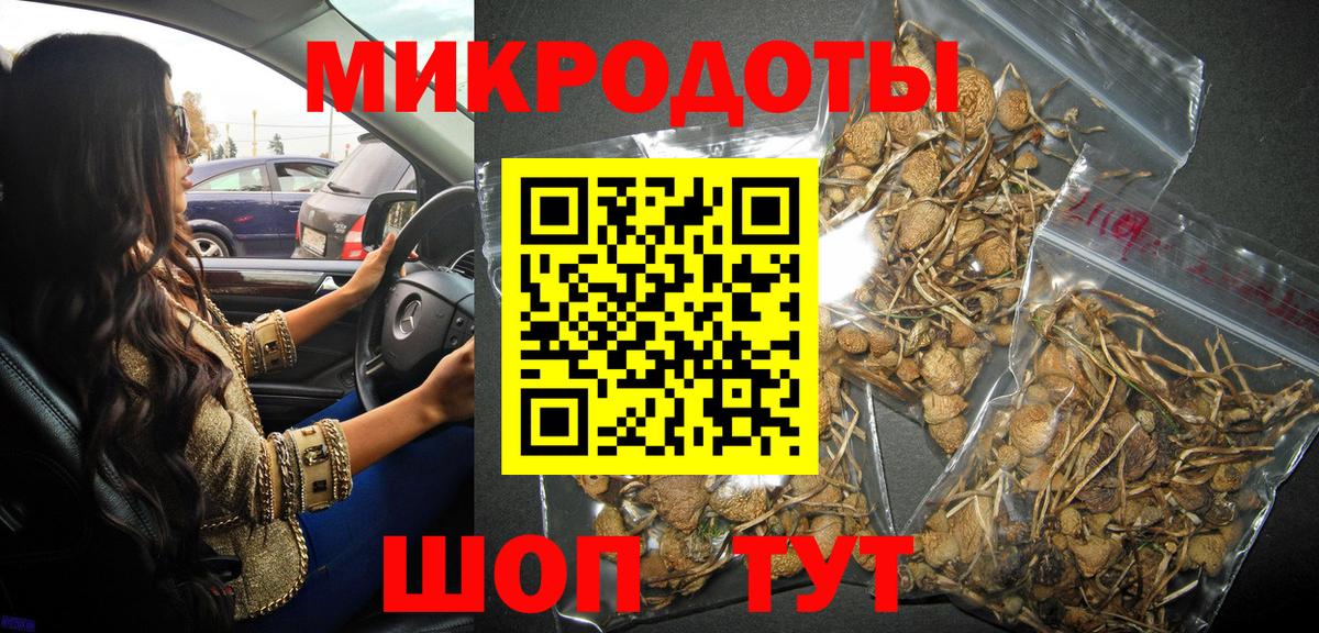 Псилоцибиновые грибы MAGIC MUSHROOMS  Вход с VPN  Озёры  Галлюциногенные грибы прущие грибы 